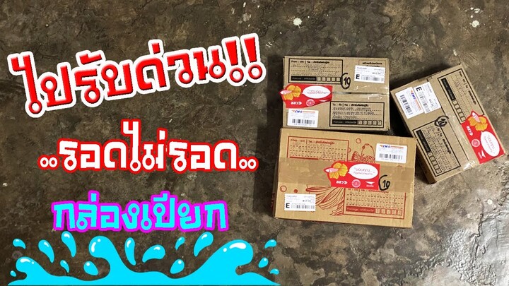 รีบไปรับด่วน!! ปลากัด3กล่องที่ไปรษณีย์เพราะมีกล่องเปียกมาลุ้นกันจะรอดหรือไม่สไตล์korattv