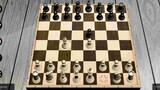 Chess funny moments
