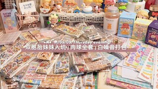 双胞胎妹妹入坑 | 肉球全套 | 白噪音打包