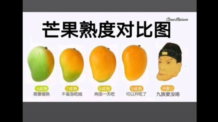 ภาพมีมสุดฮา｜มะม่วง🥭คุณชอบแบบสุกแค่ไหน?