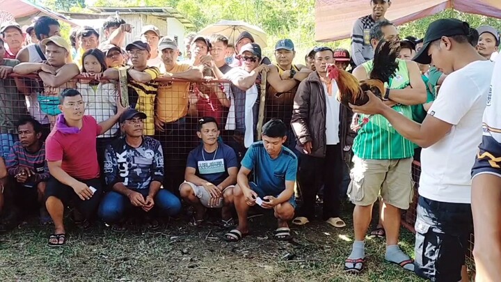 pagalingan ng manok