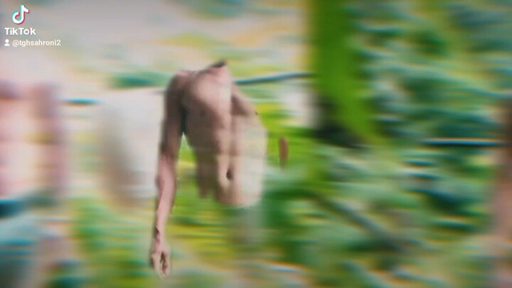 vyv