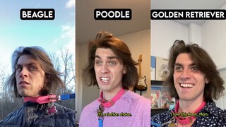 كيف تنظر الكلاب المختلفة إلى القيود؟