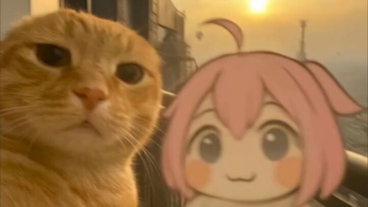 ?????????