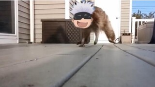 【Wu Fu】Five guardians' attack