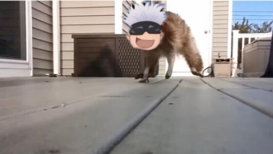 【Wu Fu】Five guardians' attack
