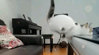 ดูสามรอบแล้วก็ยังไม่เข้าใจเลยว่าเขาทำได้อย่างไร