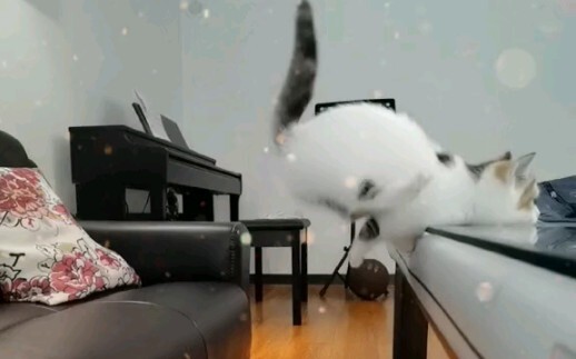 Xem ba lần mà vẫn không hiểu nổi anh ấy đã làm thế nào.