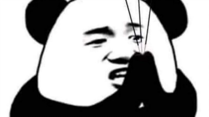 GẤU hài hước