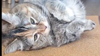 You turned off the air conditioner, but you turned off my happiness!