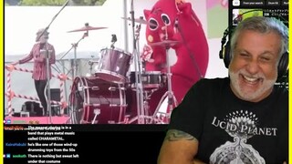 Metal Cat Drummer CRUSHING IT - Twitch Live Reaction Session