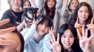 จิตวิญญาณของทีมระเบิด! [TWICE] สมาชิกทุกคนสนับสนุนโซโล่ของพัคจีฮโย!