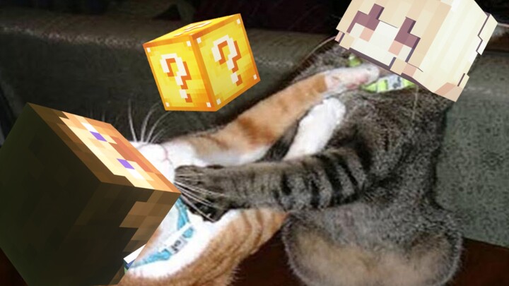 เพื่อนร่วมทีมที่แท้จริง