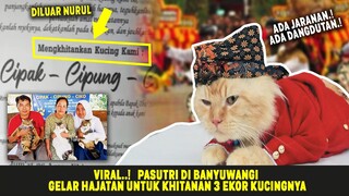 VIRAL..!  Khitanan 3 Ekor Kucing Kesayangan, Pasutri di Banyuwangi Gelar Hajatan Mewah