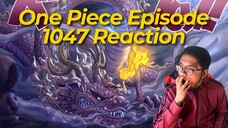 Momonosuke New Dragon Form🔥 | ONE PIECE EPISODE 1047 REACTION