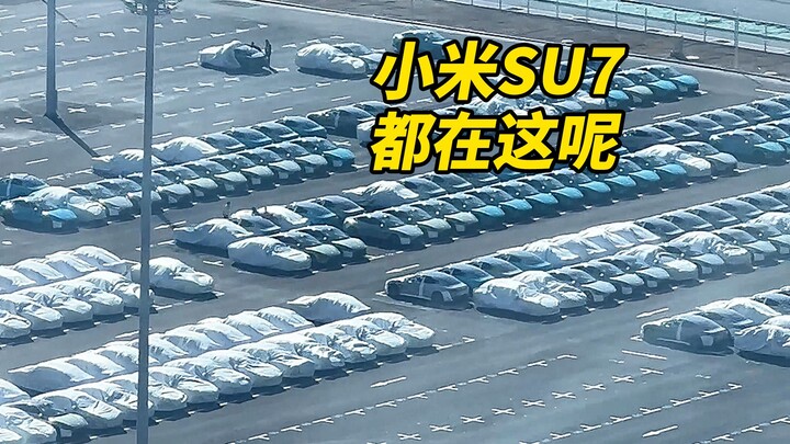 Mr. Lei, stop resisting—BYD and Lynk & Co are everywhere!