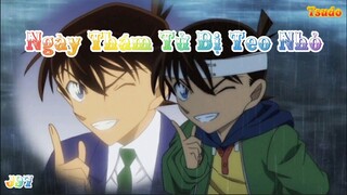 AMV Ngày Thám Tử Bị Teo Nhỏ - Ngôi Sao Cô Đơn | Shinichi 💝 Ran