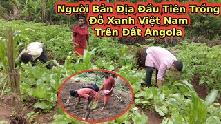 Hướng dẫn gia đình Antonio Trồng đỗ xanh của Việt Nam