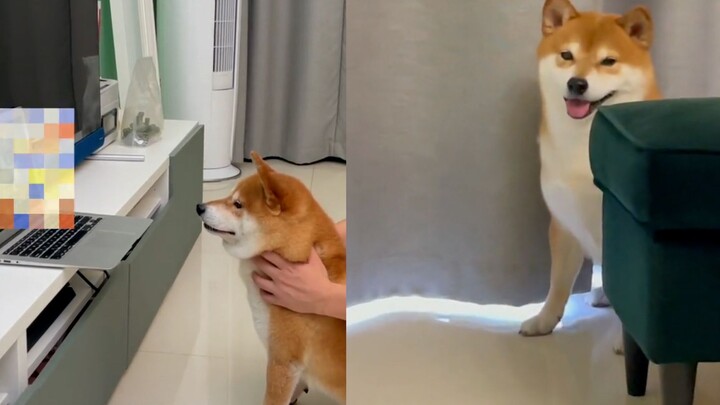 The man didn't dare to watch horror movies, so he picked up his dog and rubbed his head to watch it 