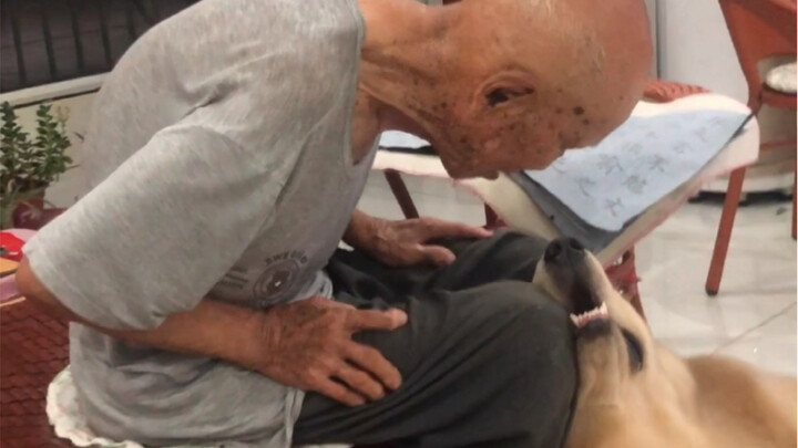 Ông ngoại thường dặn chúng tôi đừng để mất George, phải cho nó ăn nhiều hơn, thế là George bỗng dưng