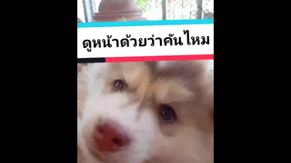 ดูหน้าหนูด้วยว่าคันแค่ไหน555+