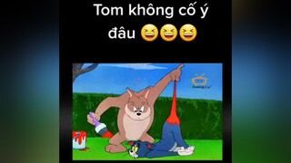 tom hoạthình hàihước