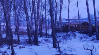 Challenge 0 Yuan Winter Survival (Day 4)
