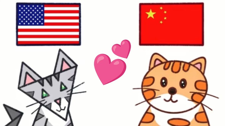 Cư dân mạng Trung Quốc và Mỹ phát hiện ra hình dạng của mèo ở hai nước này là một △ và một ○