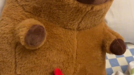 My boyfriend gave me a baby capybara plushie… this is what happens when you mess with me!