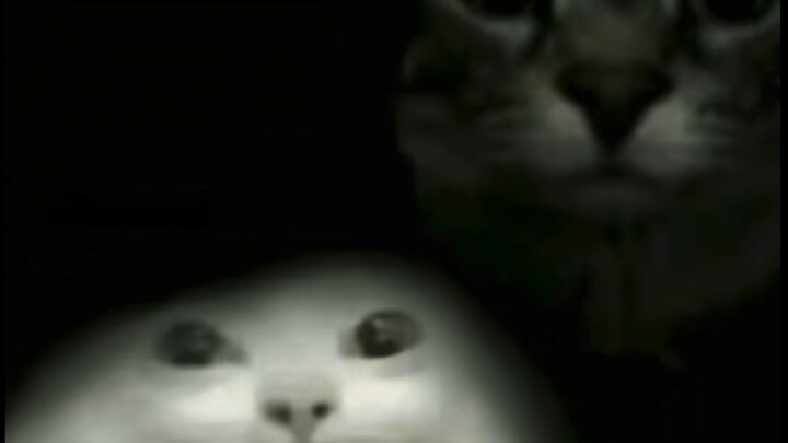 Abstract Chinese TV—watch it and laugh, or you’re not human.