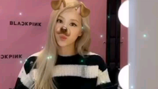 220125 roses_are_rosie