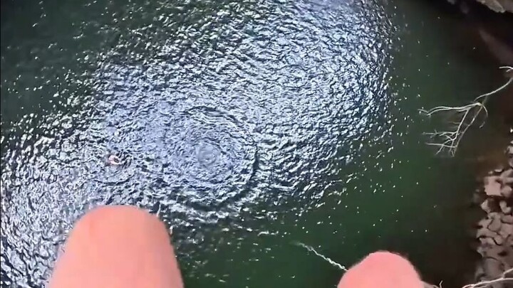 Alasan sebelum melakukan terjun payung harus melempar batu bukan seperti yang kamu kira...