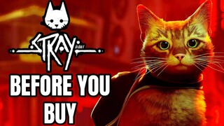 STRAY - 12 Things You NEED TO KNOW Before You Buy