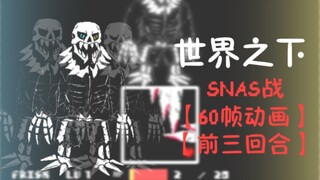 世界之下SNAS战【60帧动画】【前三回合】【已弃坑】