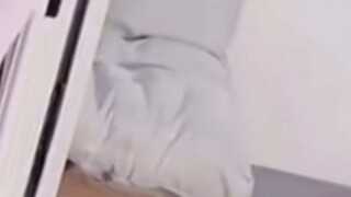 我也想低调吖，可是实力不允许