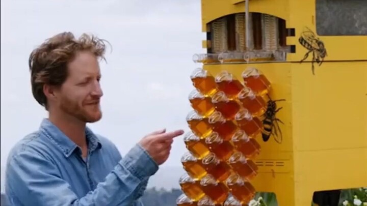 Without disturbing the bees, you can collect so much clean honey with one click. The whole process i