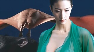 大师兄潇湘子隐退，百里墨兰穿越回深圳！妖怪也是很多的！