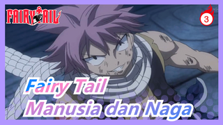 Fairy Tail | Manusia dan Naga_3