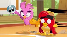 Angry Birds: Quậy tưng mùa hè EP 4 [Sub Việt]