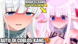 AUTO DAPAT KENIKMATAN😋‼️KETIKA RAJA IBLIS BELI BUDAK‼️MAOU NO OREGA DOREI ELF