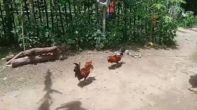 spar lang muna