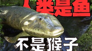 为什么说人是鱼变的，而不是猴子？