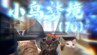 梦核之旅——《小鸟梦境》（10·强制续更）