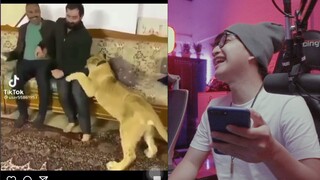 GABUTNYA ORANG ARAB