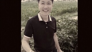 《消失的养老金》