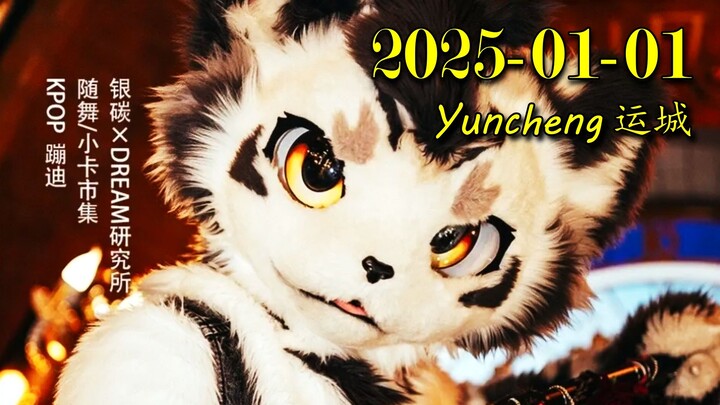 【Fursuit Dance】Gintan - Random dance held in Yuncheng on January 1, 2025