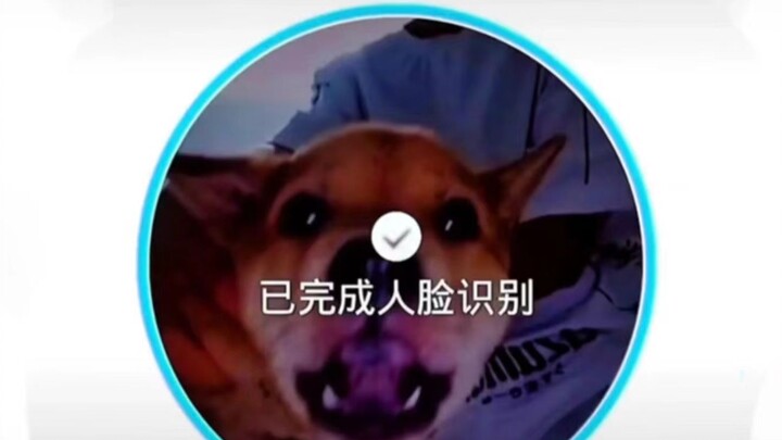 Chó và con người không chia sẻ cùng niềm vui và nỗi buồn