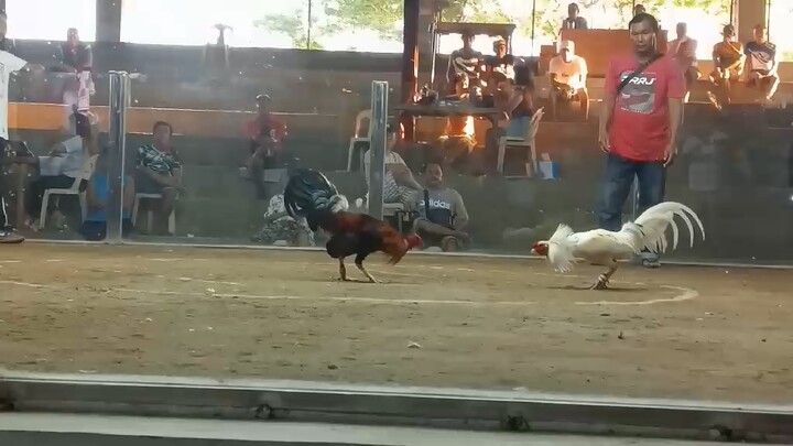 Speed+cutting+timing=win. #whitekelso