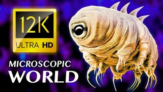 MICROSCOPIC WORLD 12K ULTRA HD
