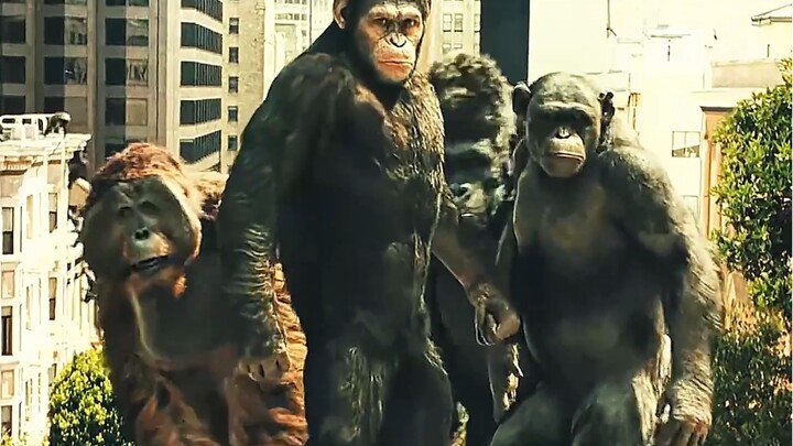 Ai có thể ngờ rằng ba nghìn năm sau, Trái Đất lại bị loài vượn thống trị, còn con người chỉ còn có t